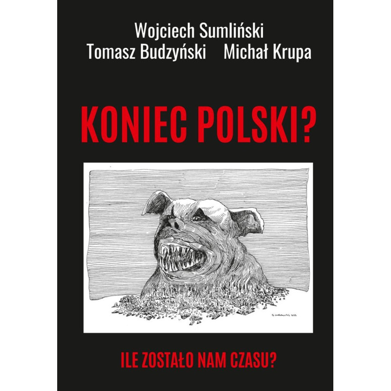 Koniec Polski? Ile zostało nam czasu? (Wojciech Sumliński, Tomasz Budzyński, Michał Krupa)