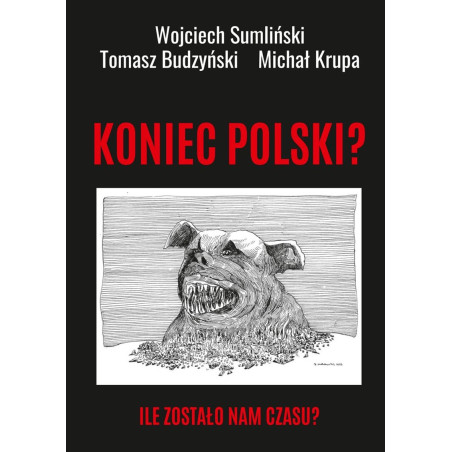 Koniec Polski? Ile zostało nam czasu? (Wojciech Sumliński, Tomasz Budzyński, Michał Krupa)
